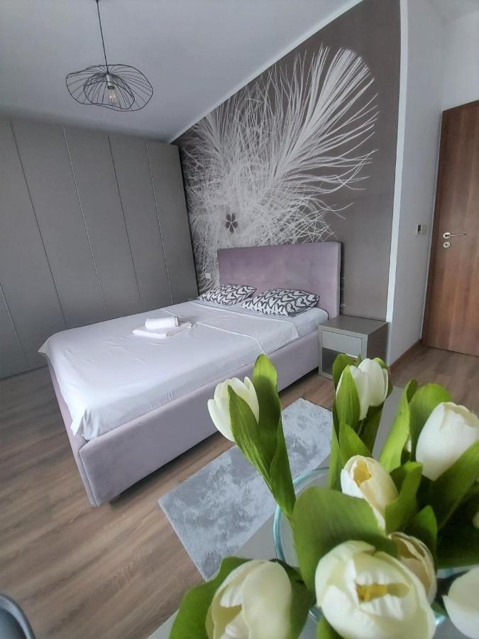 Paula Apartment Dumbravita  Luaran gambar